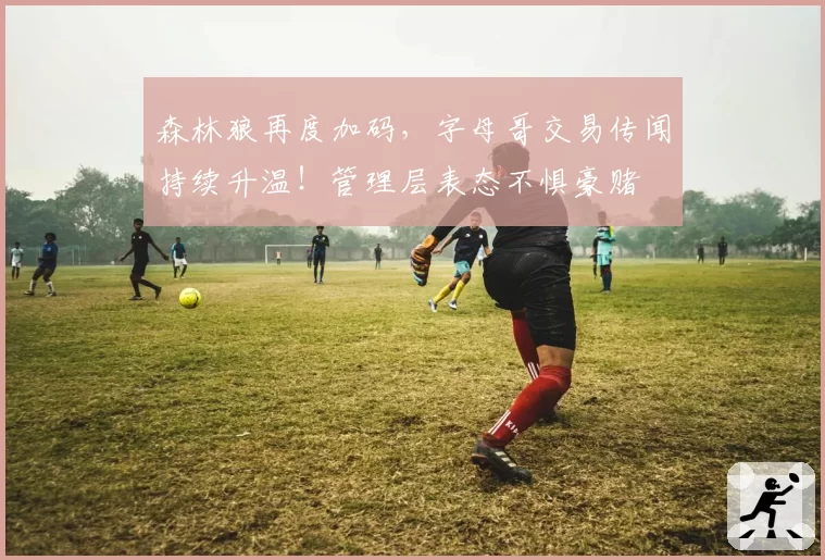 森林狼再度加码，字母哥交易传闻持续升温！管理层表态不惧豪赌