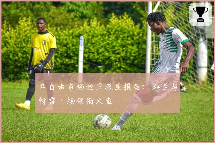 年自由市场控卫深度报告：加兰与特雷·杨领衔大鱼