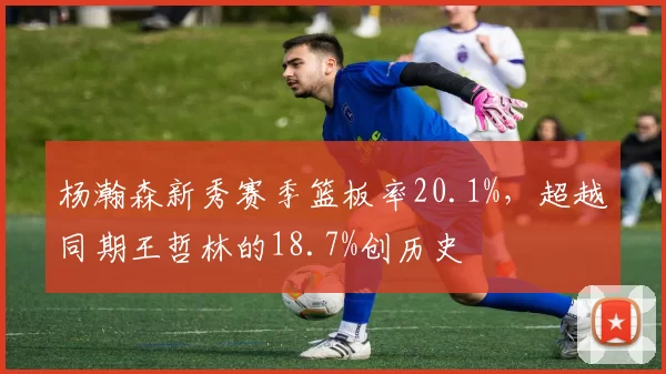 杨瀚森新秀赛季篮板率20.1%，超越同期王哲林的18.7%创历史