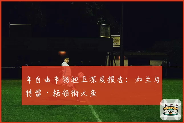 年自由市场控卫深度报告：加兰与特雷·杨领衔大鱼